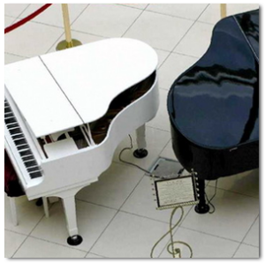 5_etudes